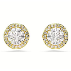 SWAROVSKI ORECCHINO UNA PAVE CRY/GOS 5686637