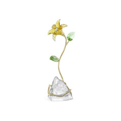 SWAROVSKI LILY-FLORERE 5666972