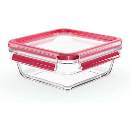 EMSA CONTENITORE QUADRO VETRO Clip & Close 0