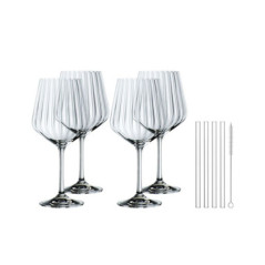 NACHTMANN 4 CALICI GIN TONIC con CANNUCCIA VETRO E SCOVOLINO 103143