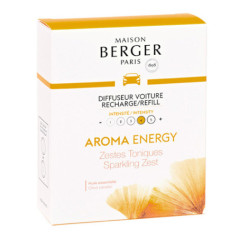 LAMPE BERGER RICARICA PROFUMATORE per AUTO Energy (2pz.) 6417