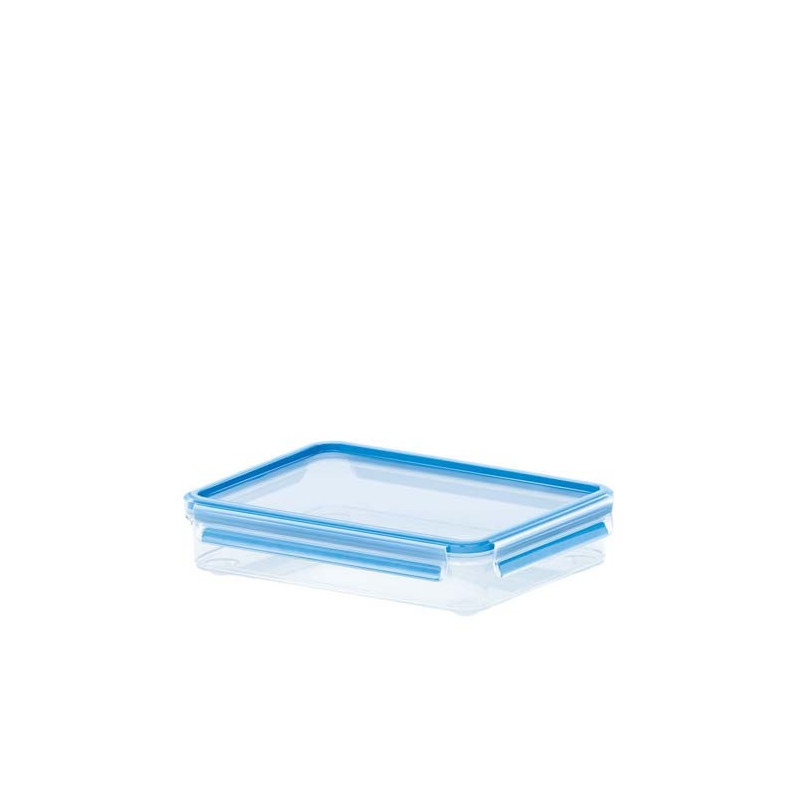 EMSA CONTENITORE RETTANGOLARE X AFFETTATI ClipClose 26X19x6cm 1 EMSA CONTENITORE RETTANGOLARE X AFFETTATI ClipClose 26X19x6cm 1