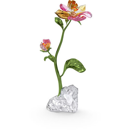 SWAROVSKI SALDI FLOWER L - IDYLLIA 5639886
