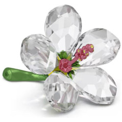 SWAROVSKI SALDI FLORERE - HIBISCUS S 5690534