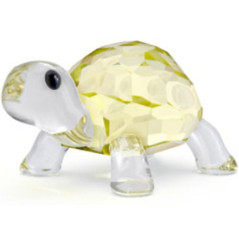 SWAROVSKI BABY TARTARUGA IDYLLIA 5721550