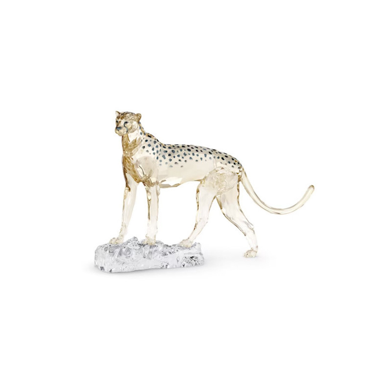 SWAROVSKI CHEETAH MEHIRA SCS2023 ELEGANCE AFRICA 5636241 SWAROVSKI CHEETAH MEHIRA SCS2023 ELEGANCE AFRICA 5636241