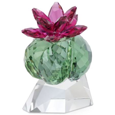 SWAROVSKI SALDI BORDEAUX CACTUS - CRYSTAL FLOWERS 5426978