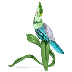 SWAROVSKI IDYLLIA - GREEN TURACO 5693147