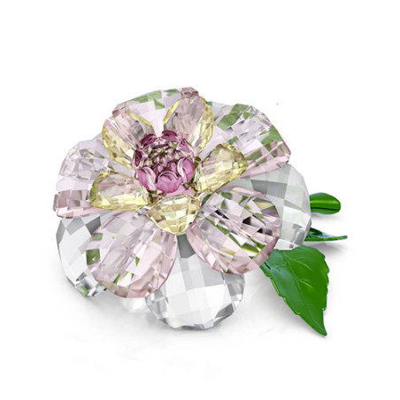SWAROVSKI CAMELIA - FLORERE 5721538