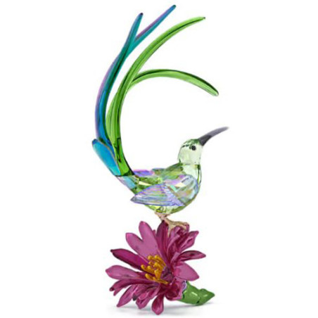 SWAROVSKI SUGARBIRD AND CACTUS FLOWER - IDYLLIA 5675166